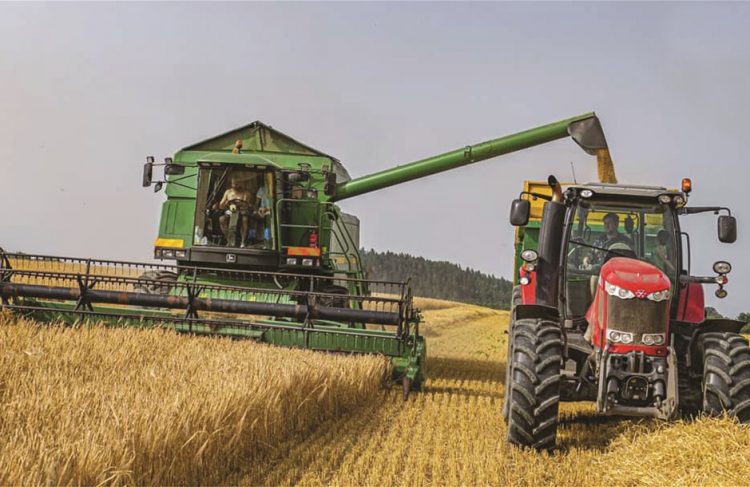 Προβληματική η φετινή σοδειά των σιτηρών – Εκτιμήσεις για τιμές και συγκομιδή