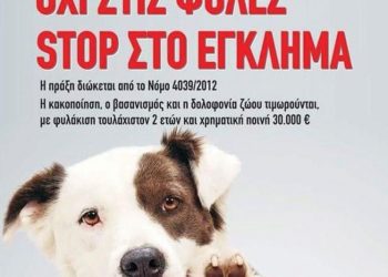 Δ. Μουζακίου για τις θανατώσεις ζώων με φόλες: «Εγκληματική πράξη…» – Συνιστά προσοχή προς τους ιδιοκτήτες