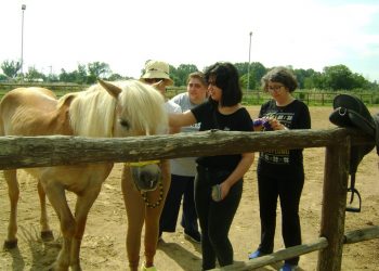 Πρόγραμμα θεραπευτικής ιππασίας υλοποιεί το «Θεοδωρίδειο Κέντρο «Ορίζοντες»