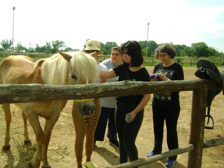 Πρόγραμμα θεραπευτικής ιππασίας υλοποιεί το «Θεοδωρίδειο Κέντρο «Ορίζοντες»