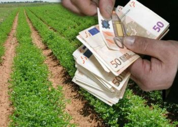 27χρονη… πούλησε σε αγρότη κτήματα που δεν είχε