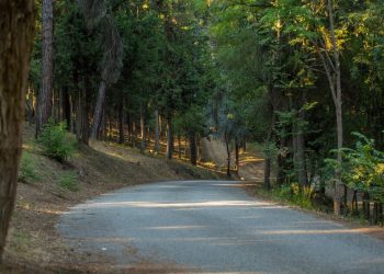 Σε υψηλό κίνδυνο πυρκαγιάς από αύριο (σήμερα) και περιοχές του Δήμου Καρδίτσας