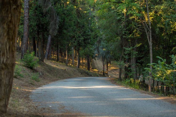 Σε υψηλό κίνδυνο πυρκαγιάς από αύριο (σήμερα) και περιοχές του Δήμου Καρδίτσας