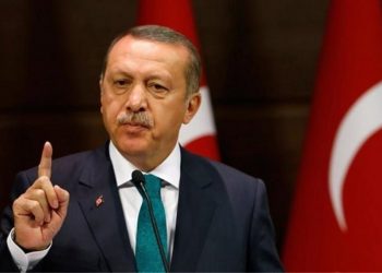 Eρντογάν: «Η Τουρκία είναι έτοιμη να βοηθήσει την Ελλάδα στην κατάσβεση των πυρκαγιών»