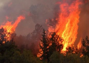 Καμπανάκι κινδύνου από την Πολιτική Προστασία για αυξημένο κίνδυνο πυρκαγιάς