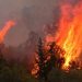 Καμπανάκι κινδύνου από την Πολιτική Προστασία για αυξημένο κίνδυνο πυρκαγιάς