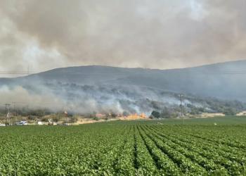 Φωτιά στα Φάρσαλα – Ισχυρές δυνάμεις της πυροσβεστικής στο σημείο, πνέουν άνεμοι 5 μποφόρ