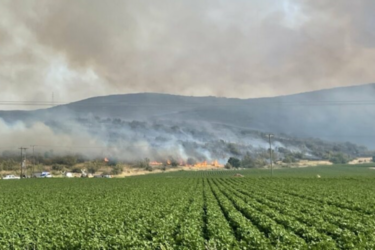 Φωτιά στα Φάρσαλα – Ισχυρές δυνάμεις της πυροσβεστικής στο σημείο, πνέουν άνεμοι 5 μποφόρ