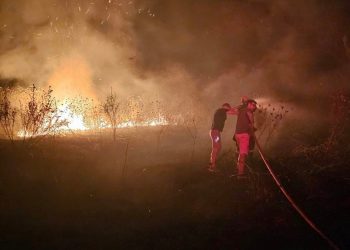 Πυροσβεστική – Ανθρώπινη βλακεία ή ψυχασθένεια: 4-0