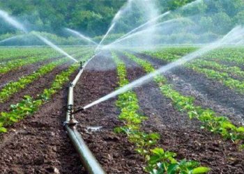 Συστάσεις προς τους παραγωγούς σχετικά με την άρδευση των καλλιεργειών σε συνθήκες καύσωνα