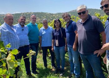 Σε επιφυλακή η Περιφέρεια Θεσσαλίας για περονόσπορο και ακαρπία  σε καλλιέργειες