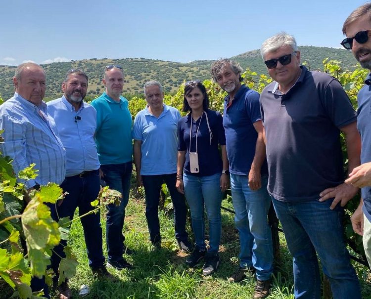 Σε επιφυλακή η Περιφέρεια Θεσσαλίας για περονόσπορο και ακαρπία  σε καλλιέργειες