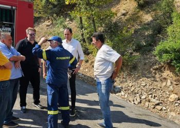 Σε πλήρη έλεγχο η πυρκαγιά στο Πετρωτό