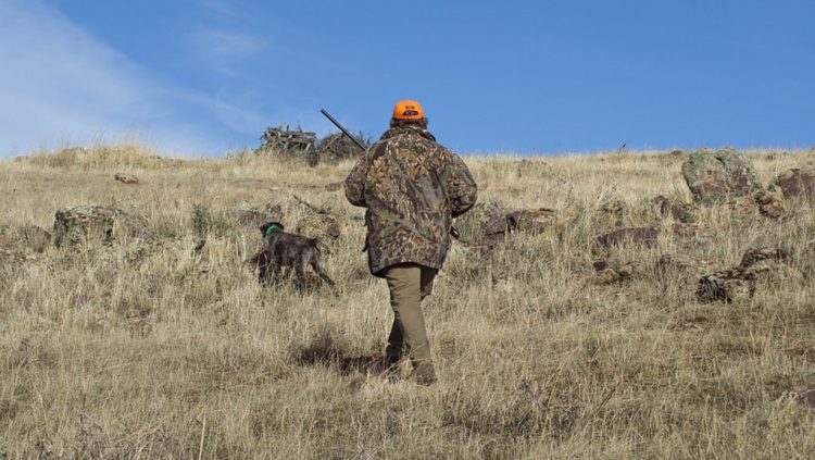 Κυνηγετική περίοδος: Πότε ξεκινά – Τι επιτρέπεται και τι απαγορεύεται