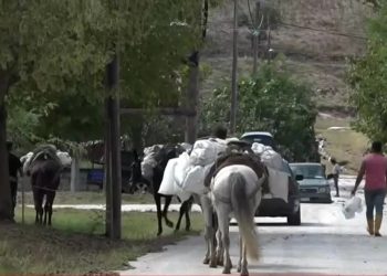 Με άλογα μεταφέρουν τρόφημα και είδη πρώτης ανάγκης