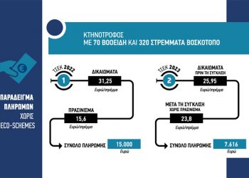 Βαρύ το κόστος για τους αγρότες από το μπέρδεμα που φέρνουν τα eco-schemes, χωρίς πρασίνισμα 2 στους 3