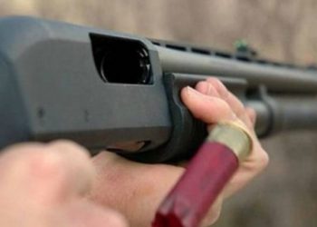 Για δύο τενεκέδες λάδι 80χρονος στη Λαμία έβγαλε την καραμπίνα και πυροβόλησε Ρομά