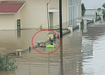 ΠΑΛΑΜΑΣ | Πατέρας προσπαθεί να σώσει τα παιδιά του! Νέο βίντεο – σοκ