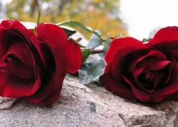 Η Α.Δ.Ε.Δ.Υ. Καρδίτσας αποχαιρετά τον Βάιο Μπάτρα