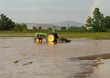 Θεσσαλία: Στο 75% της παραγωγής αναμένεται να φτάσουν οι απώλειες στο βαμβάκι