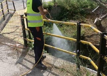 Τα κουνούπια μεγάλη απειλή για τις πλημμυροπαθείς περιοχές της Θεσσαλίας