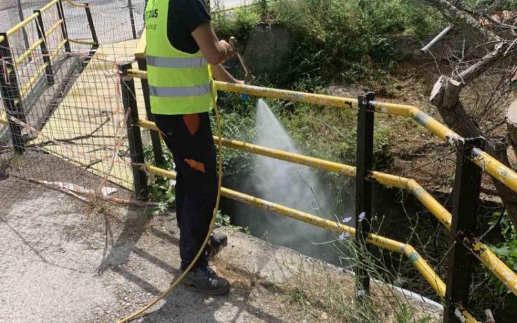 Τα κουνούπια μεγάλη απειλή για τις πλημμυροπαθείς περιοχές της Θεσσαλίας