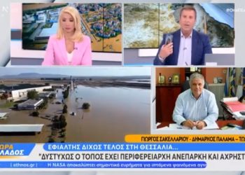 Δήμαρχος Παλαμά: Δεν έχω το παραμικρό μερίδιο ευθύνης (ΒΙΝΤΕΟ)