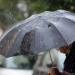 Σε πλήρη ετοιμότητα ο μηχανισμός της ΠΕ Καρδίτσας ενόψει της κακοκαιρίας ‘’DANIEL’’