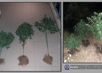 Δώδεκα συλλήψεις για ναρκωτικά το τελευταίο πενθήμερο στη Θεσσαλία
