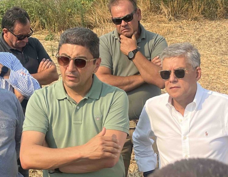 Διαδοχικές τομεακές συσκέψεις Αυγενάκη στη Θεσσαλία με παραγωγούς που έχουν πληγεί
