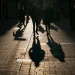 Μειώθηκαν οι θάνατοι στη Θεσσαλία από τις αρχές του 2023 μέχρι τον Οκτώβριο