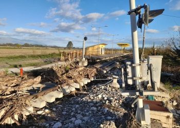 Τραγική η κατάσταση στο σιδηροδρομικό δίκτυο Παλαιοφάρσαλος – Καρδίτσα