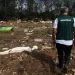 Το ελληνικό γραφείο της Greenpeace καταθέτει επίσημες προτάσεις για την αναγέννηση της αγροτικής παραγωγής στον θεσσαλικό κάμπο