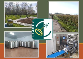 Έγκριση 7 νέων προτάσεων έργων ιδιωτικού / δημόσιου χαρακτήρα της 2ης Πρόσκλησης του Προγράμματος CLLD/LEADER της ΑΝ.ΚΑ ΑΕ