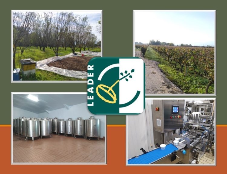 Έγκριση 7 νέων προτάσεων έργων ιδιωτικού / δημόσιου χαρακτήρα της 2ης Πρόσκλησης του Προγράμματος CLLD/LEADER της ΑΝ.ΚΑ ΑΕ