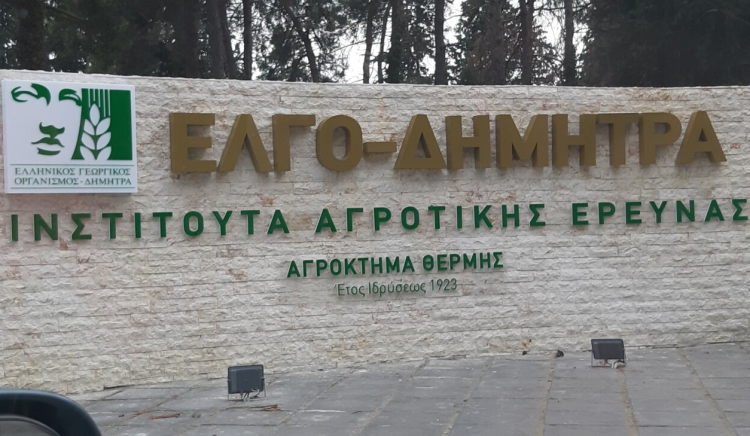 Νέα μεταβατική διοίκηση στον ΕΛΓΟ ΔΗΜΗΤΡΑ