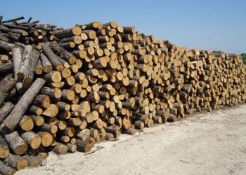 Καυσόξυλα: «Ζεστάθηκαν» οι παραγγελίες με τα πρώτα κρύα