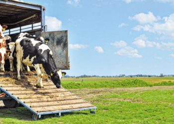 Εκπαιδευτικό σεμινάριο προσωπικού μεταφορέων ζώντων ζώων