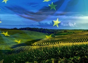 Διαδικτυακή έρευνα της Ευρωπαϊκής Επιτροπής  για την απλούστευση των κανόνων της ΚΑΠ