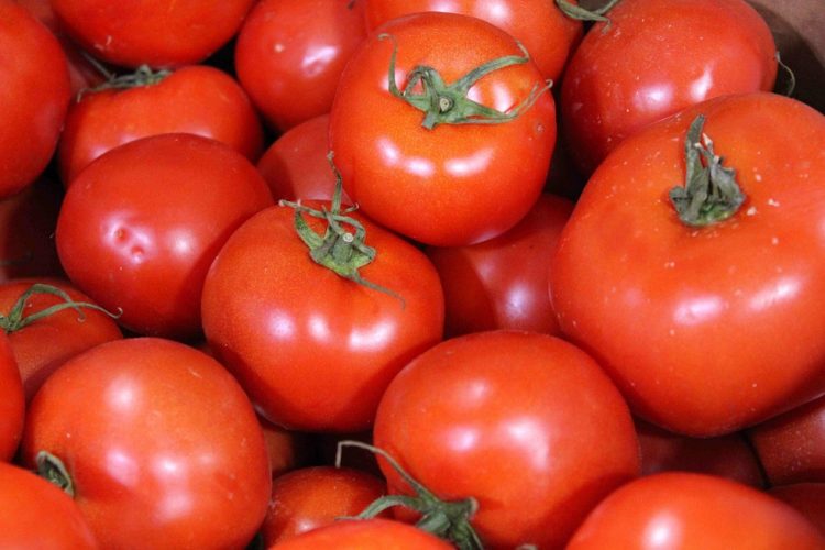 Μην αποθηκεύετε ποτέ τις ντομάτες στο ψυγείο, προειδοποιεί ειδικός