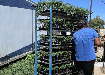 Δίπλα στην κοινωνία η Αναπτυξιακή Καρδίτσας με 2 προγράμματα που εξυπηρετούν 60 ωφελούμενους μέλη ευάλωτων ομάδων