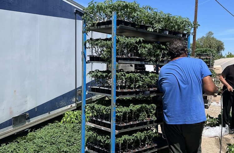 Δίπλα στην κοινωνία η Αναπτυξιακή Καρδίτσας με 2 προγράμματα που εξυπηρετούν 60 ωφελούμενους μέλη ευάλωτων ομάδων