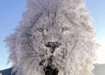 Τεστ προσωπικότητας: Αυτό που βλέπετε πρώτα αποκαλύπτει αν είστε εσωστρεφής ή κοινωνικός