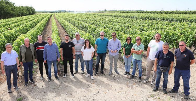 Επισκέψεις σε χωράφια  για τον εντοπισμό ιού σε πυρηνόκαρπα