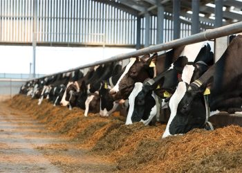 ΥΠΑΑΤ: Μηδενική ανοχή σε πρακτικές παράνομων επιδοτήσεων – Εξαρθρώθηκε εγκληματική ομάδα που πιστοποιούσε ανύπαρκτες σφαγές