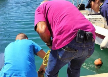 Τρόμος στον Βόλο: Εντοπίστηκε καρχαριοειδές μήκους 3,5 μέτρων στο λιμάνι