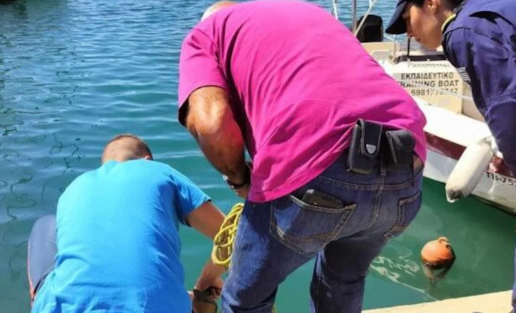 Τρόμος στον Βόλο: Εντοπίστηκε καρχαριοειδές μήκους 3,5 μέτρων στο λιμάνι