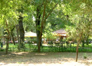 Κανονισμοί λειτουργίας του Δημοτικού Δάσους Παπαράντζας