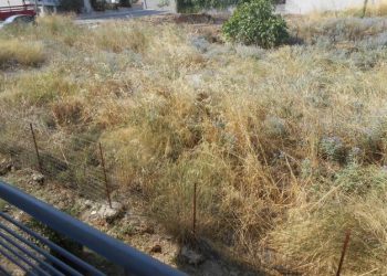 Πυροπροστασία ακινήτων – Ακαθάριστα οικόπεδα: Λήγει σήμερα η προθεσμία – Τι πρέπει να γνωρίζουν οι ιδιοκτήτες