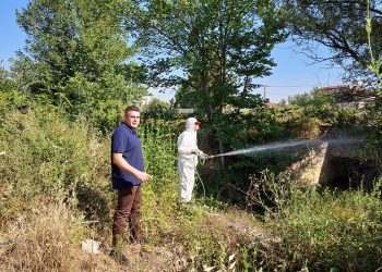 Ψεκασμοί για την αντιμετώπιση των κουνουπιών